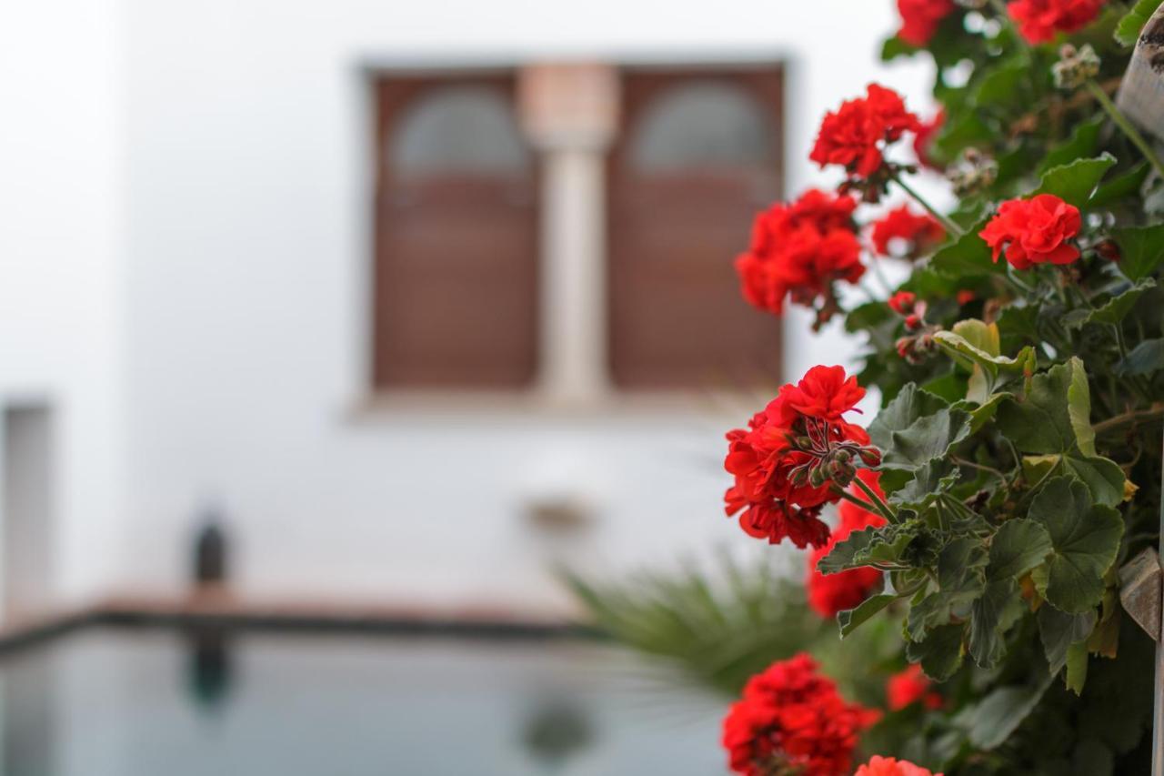 Apartasuites Alberca Deluxe Córdoba Buitenkant foto